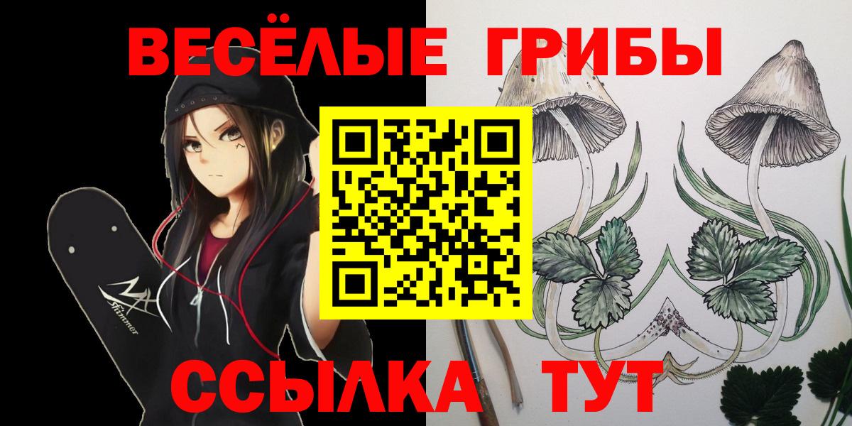 Галлюциногенные грибы Cubensis  Вход с VPN  Саранск  Галлюциногенные грибы MAGIC MUSHROOMS 